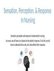 Understanding Sensation Perception And Response In Nursing A