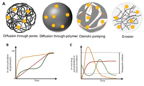 Drug Release From Polymeric Systems Mechanism Of Drug Release Through