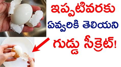 ఇప్పటివరకు ఎవ్వరికీ తెలియని గుడ్డు సిక్రెట్ Boiled Egg Benefits Youtube