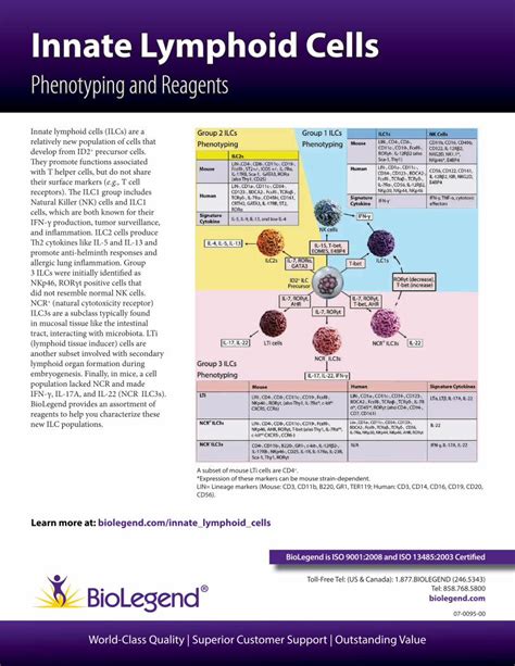 (PDF) Innate Lymphoid Cells - BioLegend Lymphoid Cells Phenotyping and Reagents Innate lymphoid ...