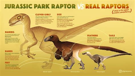 Jurassic Park Deinonychus vs an accurate one (+ Velociraptor) : r/Dinosaurs