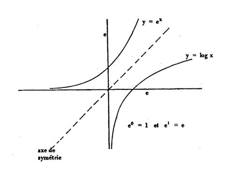 La Fonction Exponentielle R Sum