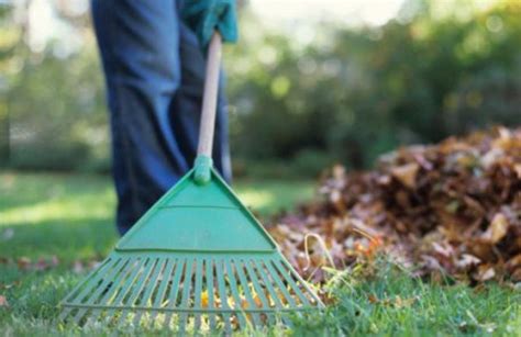 Limpieza Jardines M Todos Eficientes Para Dejarlos Impecables