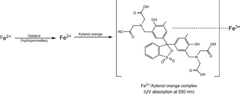 Formation of Fe 3+ -xylenol orange complex from Fe 2+ with oxidant ...