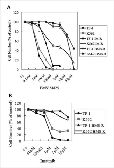 Proliferation Of Dasatinib And Imatinib Sensitive And Download Scientific Diagram