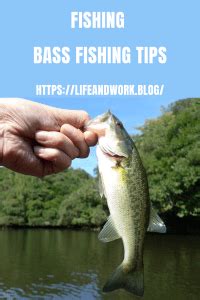 essential tips  successful bass fishing techniques