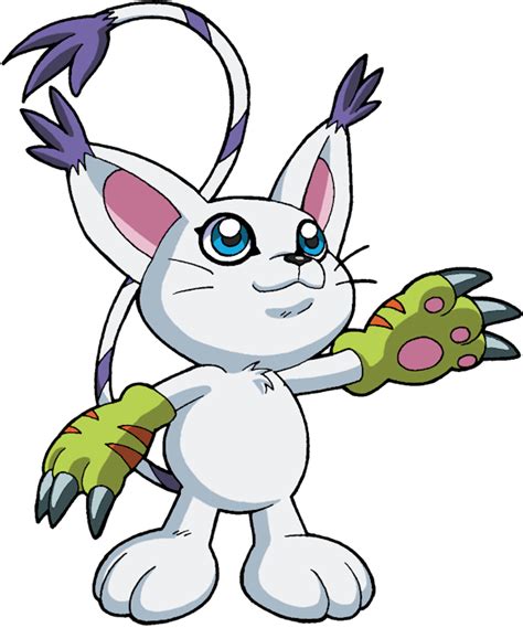 Gatomon Ringless Digimon Photo 44518153 Fanpop