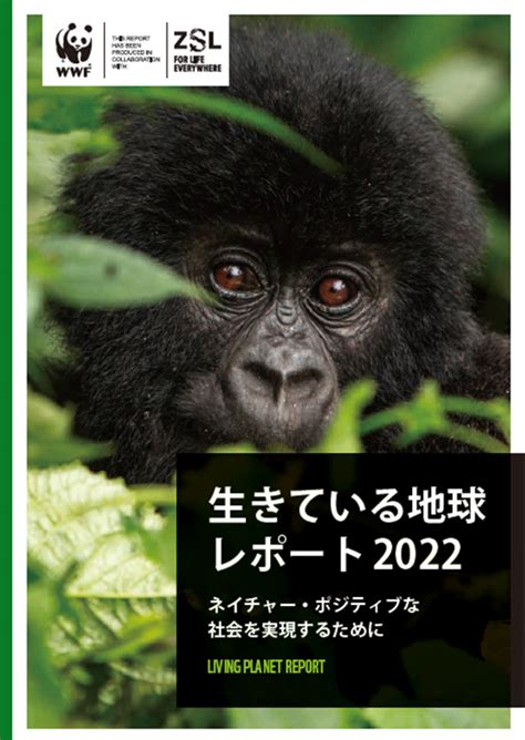 Wwf『生きている地球レポート2022』発表 生物多様性の豊かさは「過去50年間で69％損失」、 人類は地球1 75個分の自然資源を過剰に消費