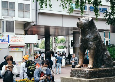 Shibuya Tokyo Japan Hachiko Statue Un Hommage Au Fid Le Chien Akita Qui