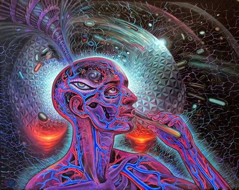 The 14 Hour Lsd Trip Anarchy State And Utopia By Robert… By Tyler