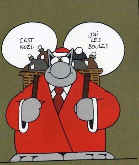 Expressions Fig Es J Ai Les Boules Joyeux Noel Humour Le Chat