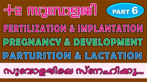 Human Reproduction Part 6 Fertilization Implantation Pregnancy