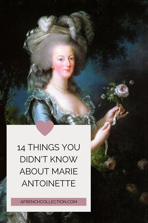 14 Facts You Didnt Know About Marie Antoinette Marie Antoinette