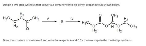 Solved Draw The Structure Of R 3 Bromo 2 Methylpentane Chegg