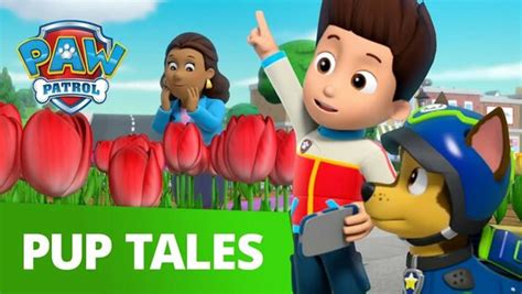 Paw Patrol Pups Save Mayor Goodways Tulips Rescue Episode Paw