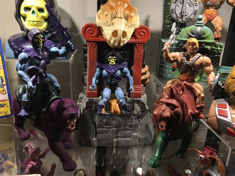 By the power of Grayskull! : r/ActionFigures