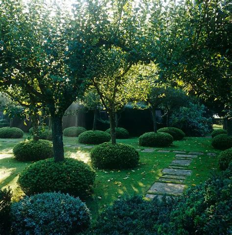 35 Excellent Backyard orchard Layout - Home, Family, Style and Art Ideas