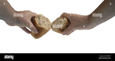 A Loaf Of Bread Broken With His Hands On A Transparent Background Stock