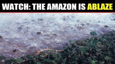 Amazon Rainforest Fires Are Still Burning What You Need To Know And