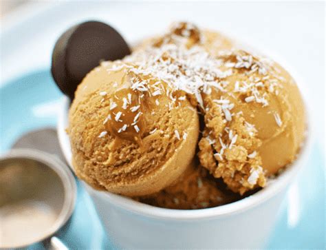 Goat Milk Ice Cream Recipe - l love ice cream.net | iloveicecream.net