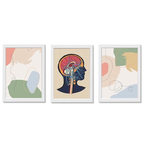 Kit Quadros Decorativos C Rebro Neurologia Medicina Elo