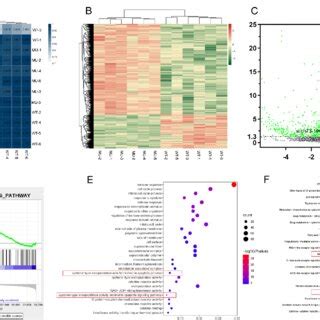 Results Of Rna Sequencing And Bioinformatics Analysis A Correlation