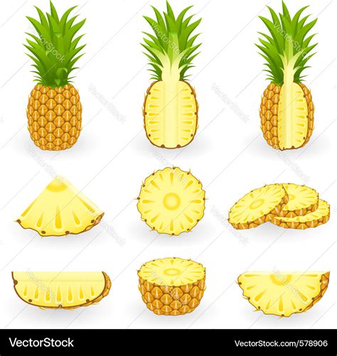 Pineapple Royalty Free Vector Image Vectorstock