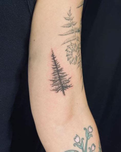 Tiny Pine Tree Tattoo