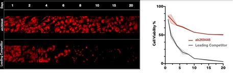 Cell Tracking Red Dye Kit Longer Cell Staining DMSO Free Ab269446