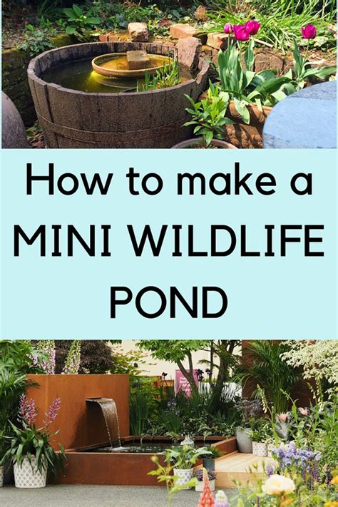 How To Make A Mini Wildlife Pond The Middle Sized Garden Gardening Blog