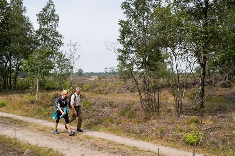 Vier Dagen Wandelen In De Natuur Rond Apeldoorn