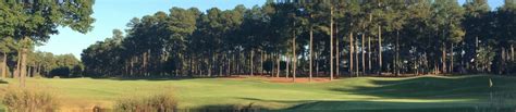 Pinewild Country Club (Holly) - Golf Course Information | Hole19