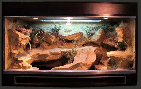 Bearded Dragon Habitat Sk Gagamer Terrarier Og Krybdyr