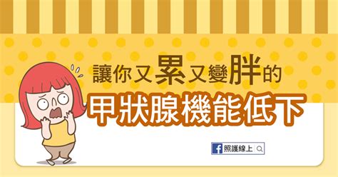 讓人又累又變胖的甲狀腺機能低下（懶人包） 照護線上 深受信賴的醫療媒體