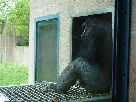 The Philadelphia Zoo - Philadelphia, PA - Kid friendly activity rev ...