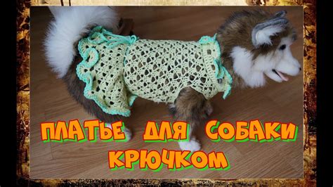 Платье для собаки крючком. - YouTube