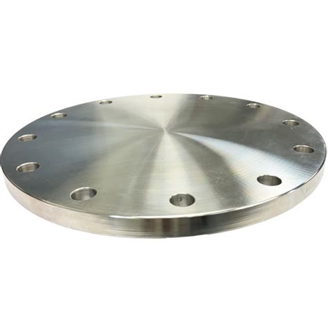 250 TABLE E BLIND FLANGE 316L Prochem