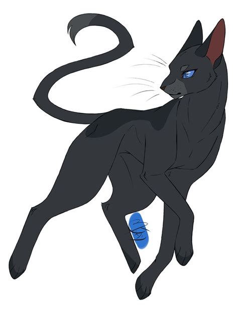 Warrior Cats M Jay Warriors Art Warrior Cats Fan Art Warrior