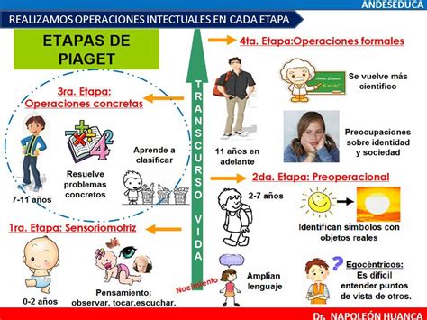 Mapa Conceptual De Etapas Del Desarrollo Humano Geno