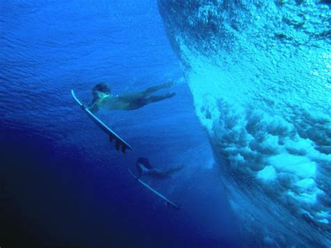 Fondos De Pantalla Mujeres Al Aire Libre Mujer Mar Pescado Tablas