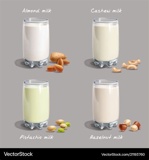 Different types non-dairy milk vegan nut-milk Vector Image