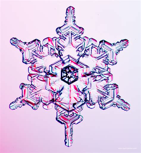 Snow Crystals - February 15, 2013