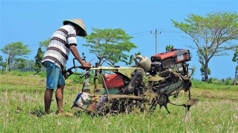 Rotary Tractor Traktor Rotari Membajak Lahan Padi Youtube