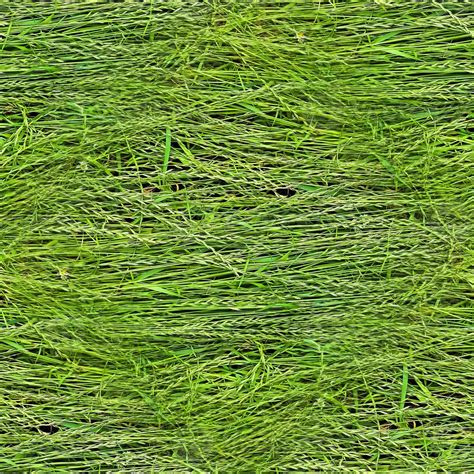 Photo Realistic Seamless Grass Texture In Hires With More Than 6