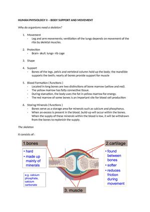 Endocrine System Sem Human Physiology Ii Endocrine System The