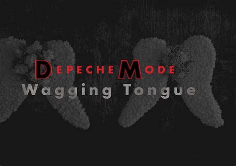 EL ESPECTACULAR VIDEO DE WAGGING TONGUE DE DEPECHE MODE PyD