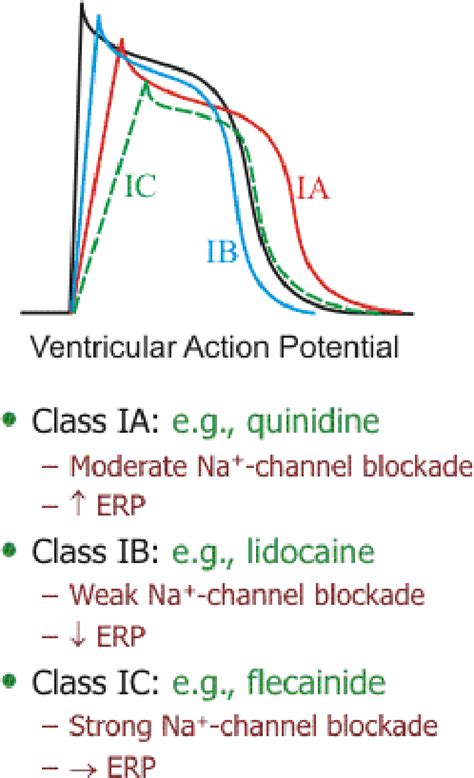 Figure 2 From Pharmacology Class 1 Sodium Channel Blockers