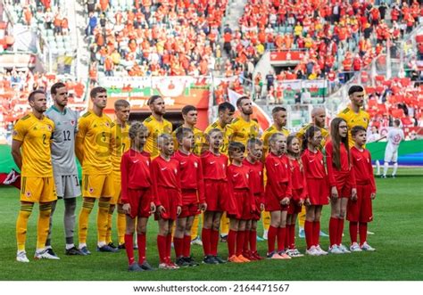 4,411 Wales National Football Team Images, Stock Photos & Vectors | Shutterstock