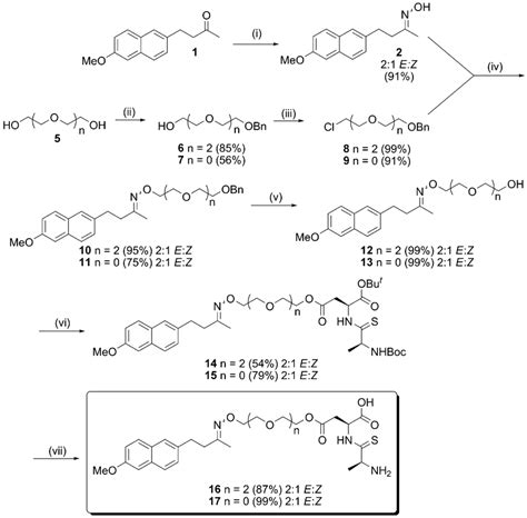 Scheme Synthesis Of Hydroxyimine Prodrug Linked To Pept Carrier I