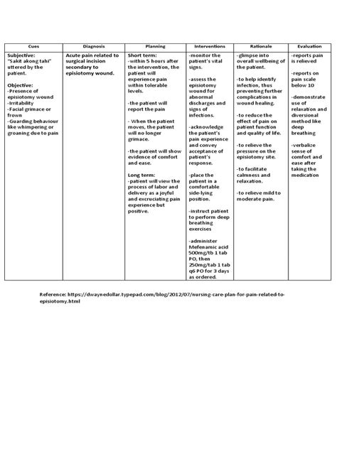 Ncp Episiotomy Pdf Pain Wound